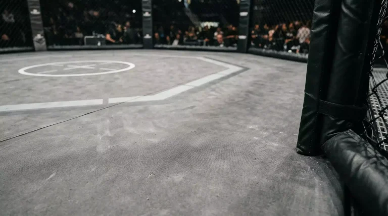 Lona do octógono de MMA com logótipos de patrocinadores visíveis durante um evento
